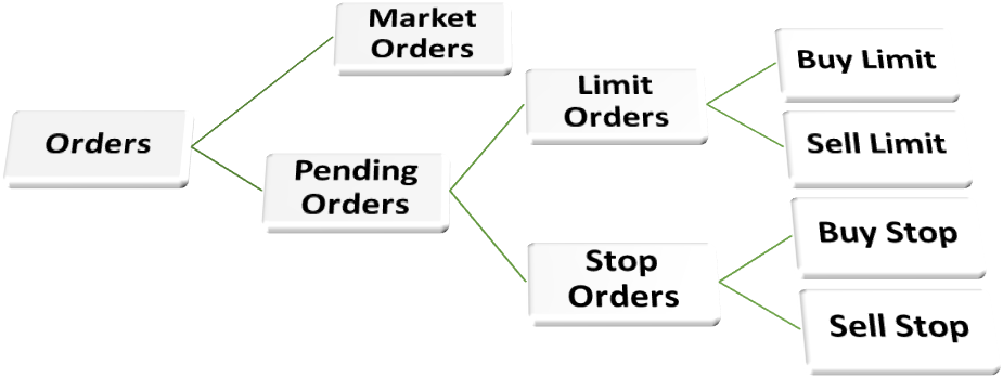 Orders